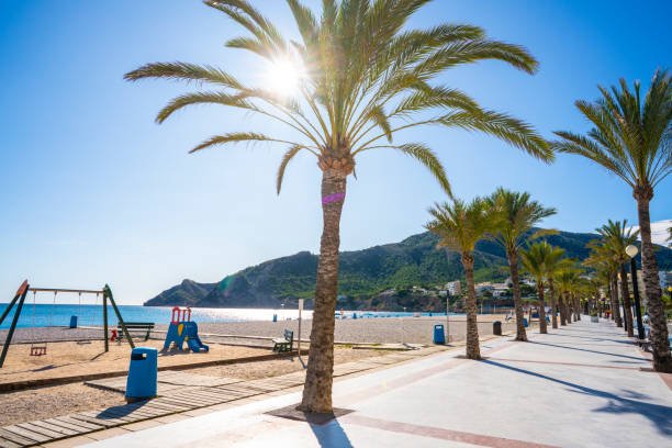el-albir