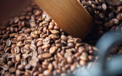Diferencias claves entre Arábica y Robusta.