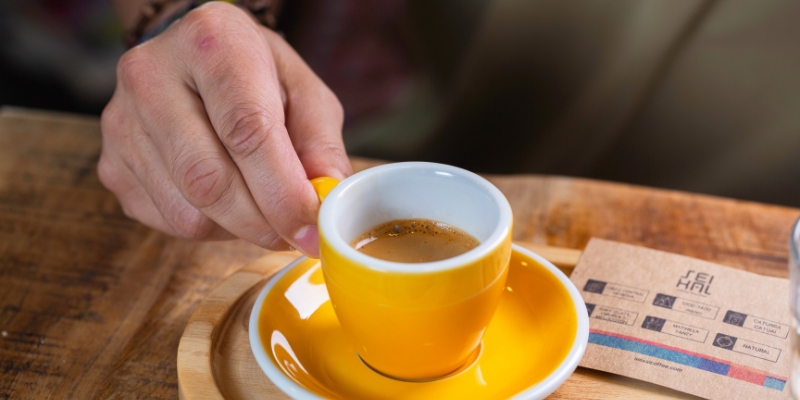 expresso-seixal
